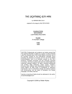 the lightning-rod man - 10