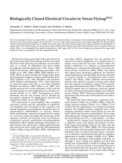 Biologically Closed Electrical Circuits in Venus Flytrap[OA]