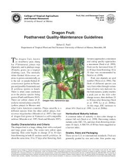 Dragon Fruit: Postharvest Quality-Maintenance Guidelines