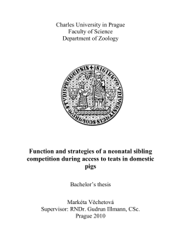Function and strategies of a neonatal sibling competition during