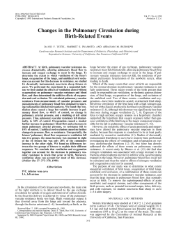 Changes in the Pulmonary Circulation during Birth-Related