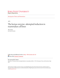 The lactase enzyme: attempted induction in mammalian cell lines
