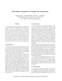 Joint Affinity Propagation for Multiple View Segmentation