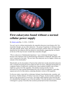 First eukaryotes found without a normal cellular power supply