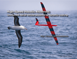 Robotic Albatross