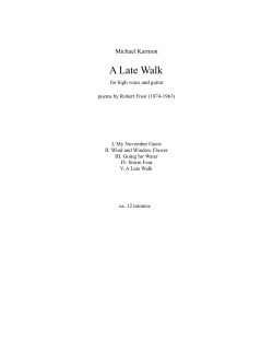 A Late Walk.mus - Michael Karmon