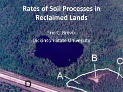 Rates of Soil Processes in Reclaimed Lands