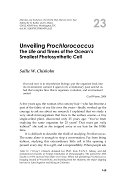Unveiling Prochlorococcus - Center for Microbial Oceanography