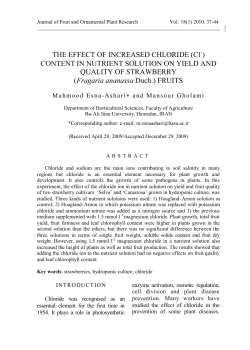 THE EFFECT OF INCREASED CHLORIDE (Cl