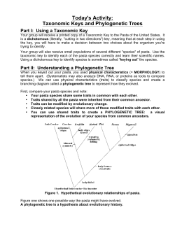 Activity02b Keys And Trees