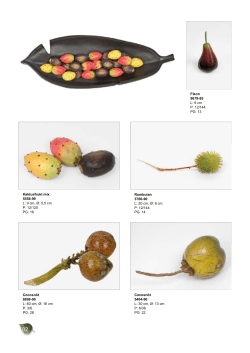 L: 60 cm, &Oslash;: 16 cm P