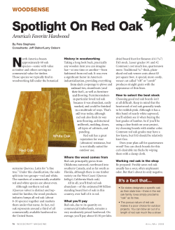 Spotlight on Red Oak