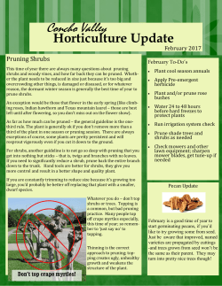 Concho Valley - AgriLife Extension County Offices