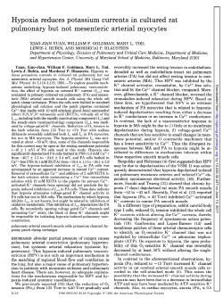but not mesenteric arterial myocytes - AJP-Lung