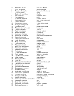# Scientific Name Common Name 1 Pinus ponderosa Ponderosa