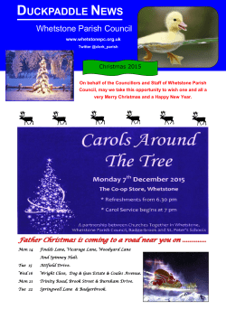 Duckpaddle Christmas 15 - Whetstone Parish Council