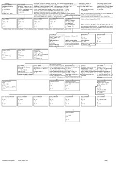 DREW families of Ireland