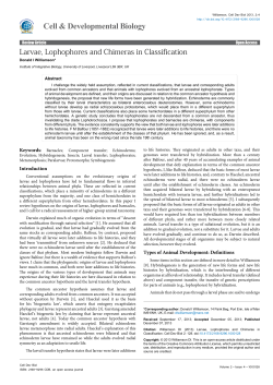 Larvae, Lophophores and Chimeras in Classification