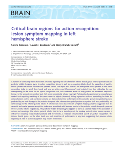Critical brain regions for action recognition