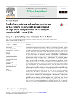 CN - Semantic Scholar