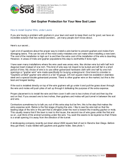 Get Gopher Protection for Your New Sod Lawn