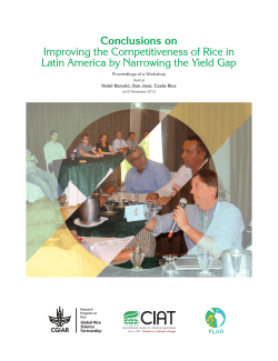 Conclusions on Improving the Competitiveness of Rice in Latin
