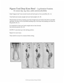 Pigeon-Toed Deep Knee Bend - Leg Rotation Fixations