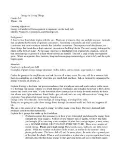 Energy in Living Things