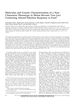 Molecular and Genetic Characterization of a Non