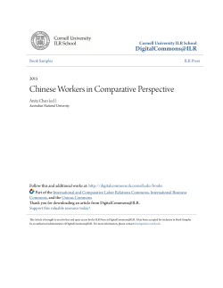 Chinese Workers in Comparative Perspective