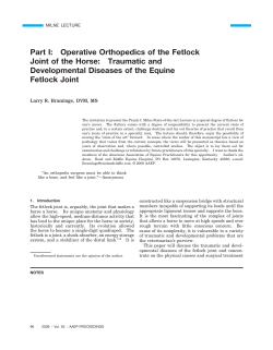 Part I: Operative Orthopedics of the Fetlock Joint of the Horse
