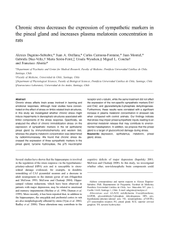 Chronic stress decreases the expression of sympathetic markers in