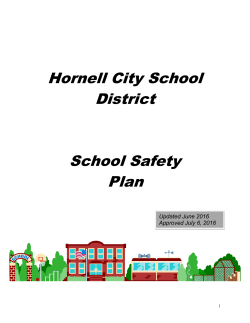 Table of Contents - the Hornell City School District!