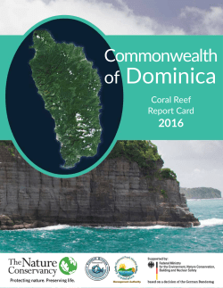 of Dominica
