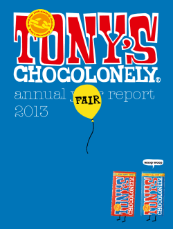 annual year report 2013