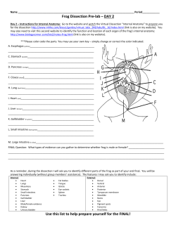 Frog Dissection Worksheet
