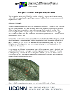 Biological Control of Two-Spotted Spider Mites
