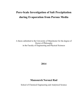 Pore-Scale Investigation of Salt Precipitation during Evaporation