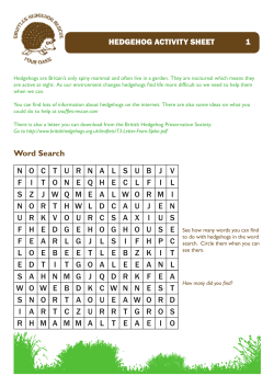 HEDGEHOG ACTIVITY SHEET 1 Word Search
