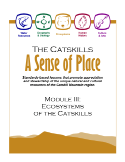 Module III: Ecosystems