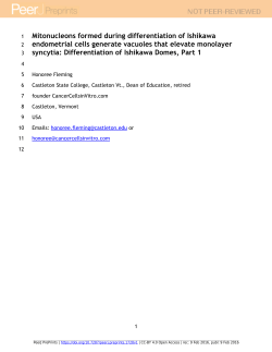 Mitonucleons formed during differentiation of Ishikawa