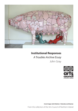 Institutional Responses John Gray A Troubles Archive Essay