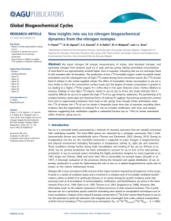 New insights into sea ice nitrogen biogeochemical dynamics from