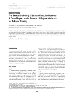 The Sundt Encircling Clip as a Vascular Rescue