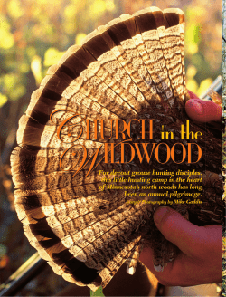 For devout grouse hunting disciples, this little hunting camp in the