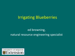 Irrigating Blueberries - University of Missouri Extension