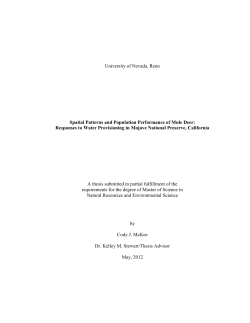 University of Nevada, Reno Spatial Patterns and Population