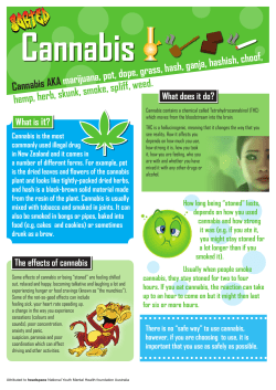 Cannabis AKA marijuana, pot, dope, grass, hash, ganja, hashish