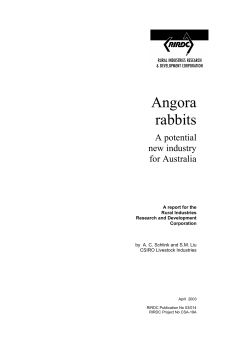Angora rabbits - Publications