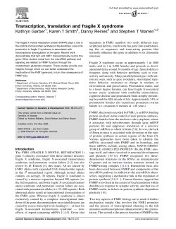 Transcription, translation and fragile X syndrome